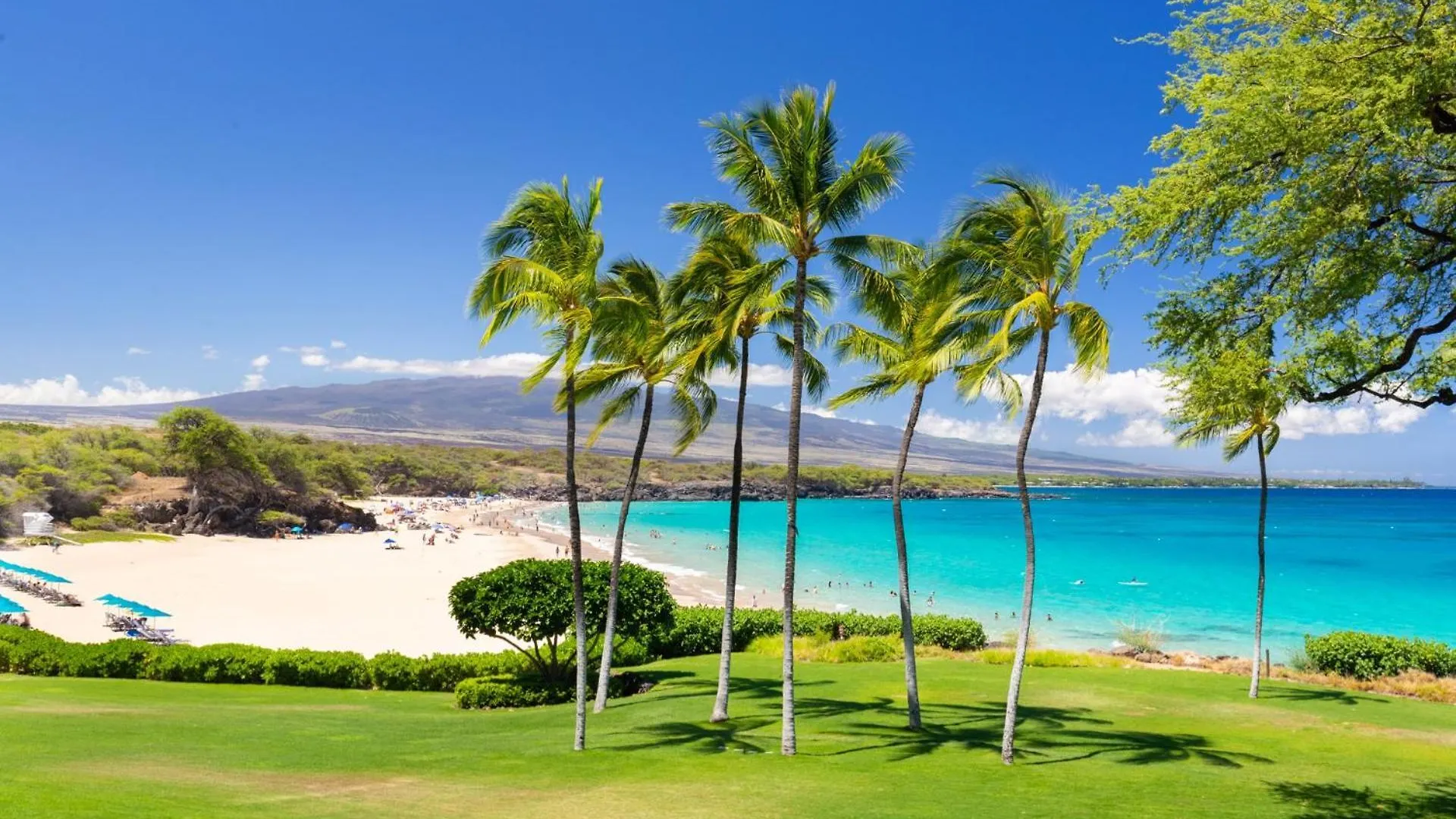 Hapuna Beachfront Bliss Blissful 2Br On The Beach Hapuna Residence B29 Hapuna Beach